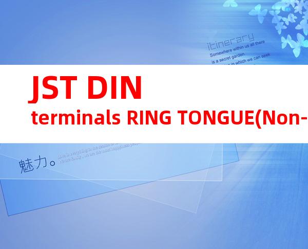 JST DIN terminals RING TONGUE(Non-insulated)系列 GS10-120产品规格书